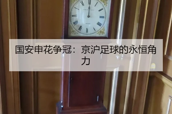 国安申花争冠：京沪足球的永恒角力 - ayx